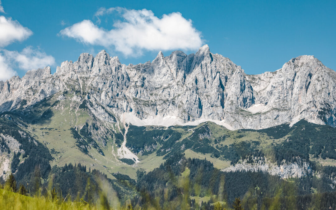 Bild Slider 1 – Immo Übersicht